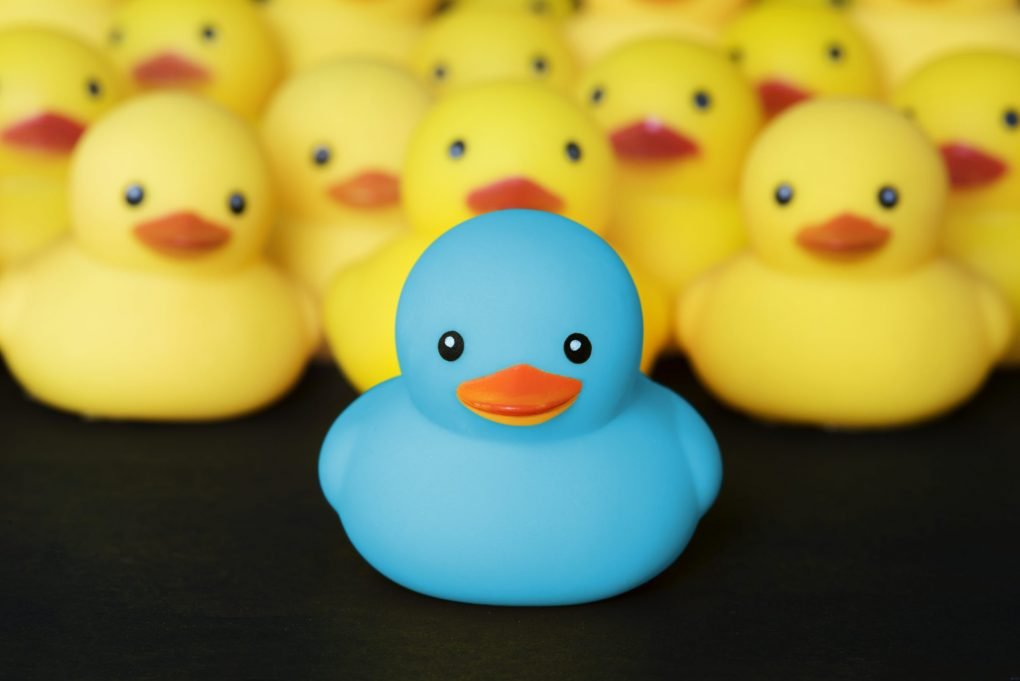 Blue Rubber Duck with Yellow Rubber Ducks
