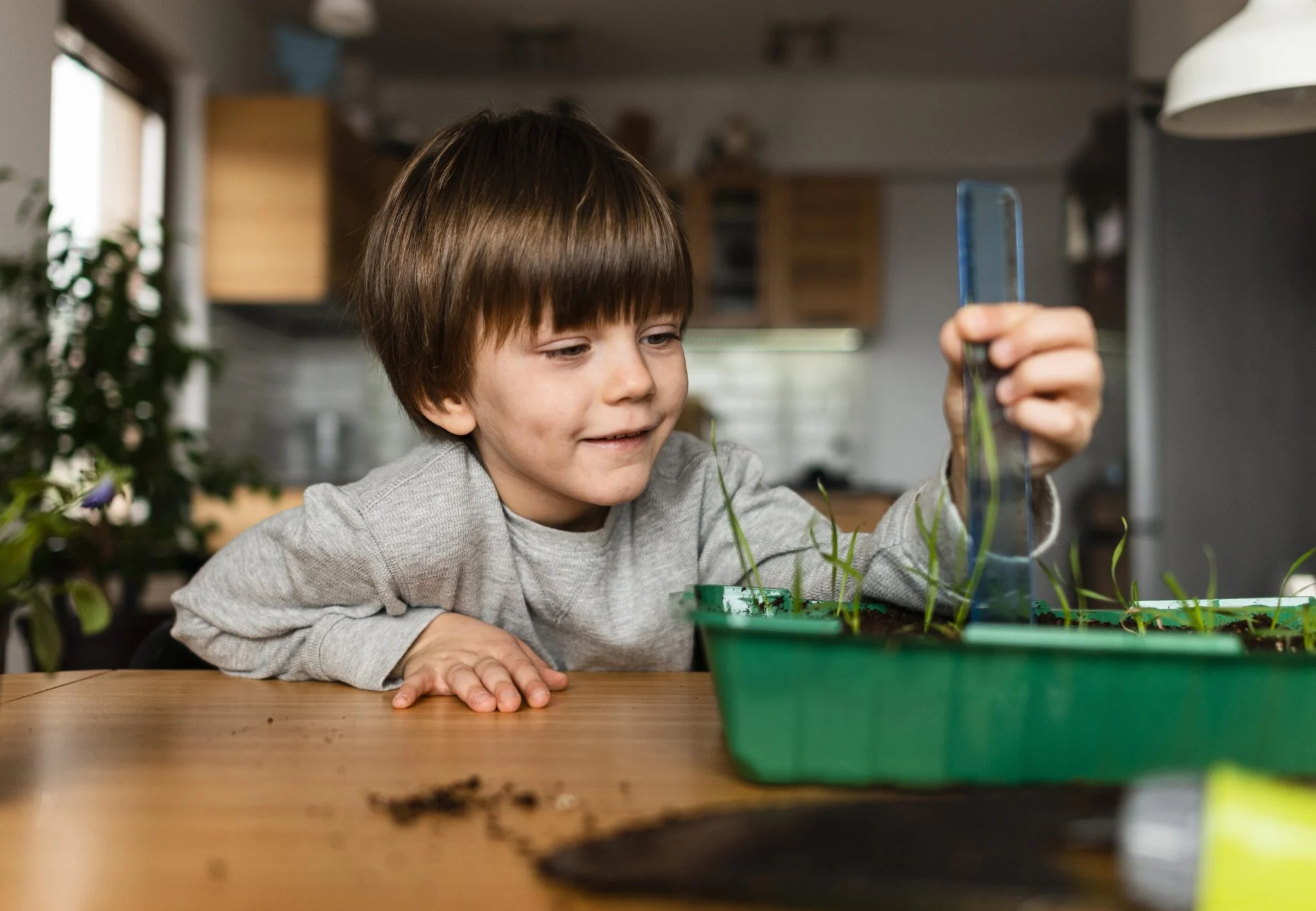 Child Measuring Plant Growth