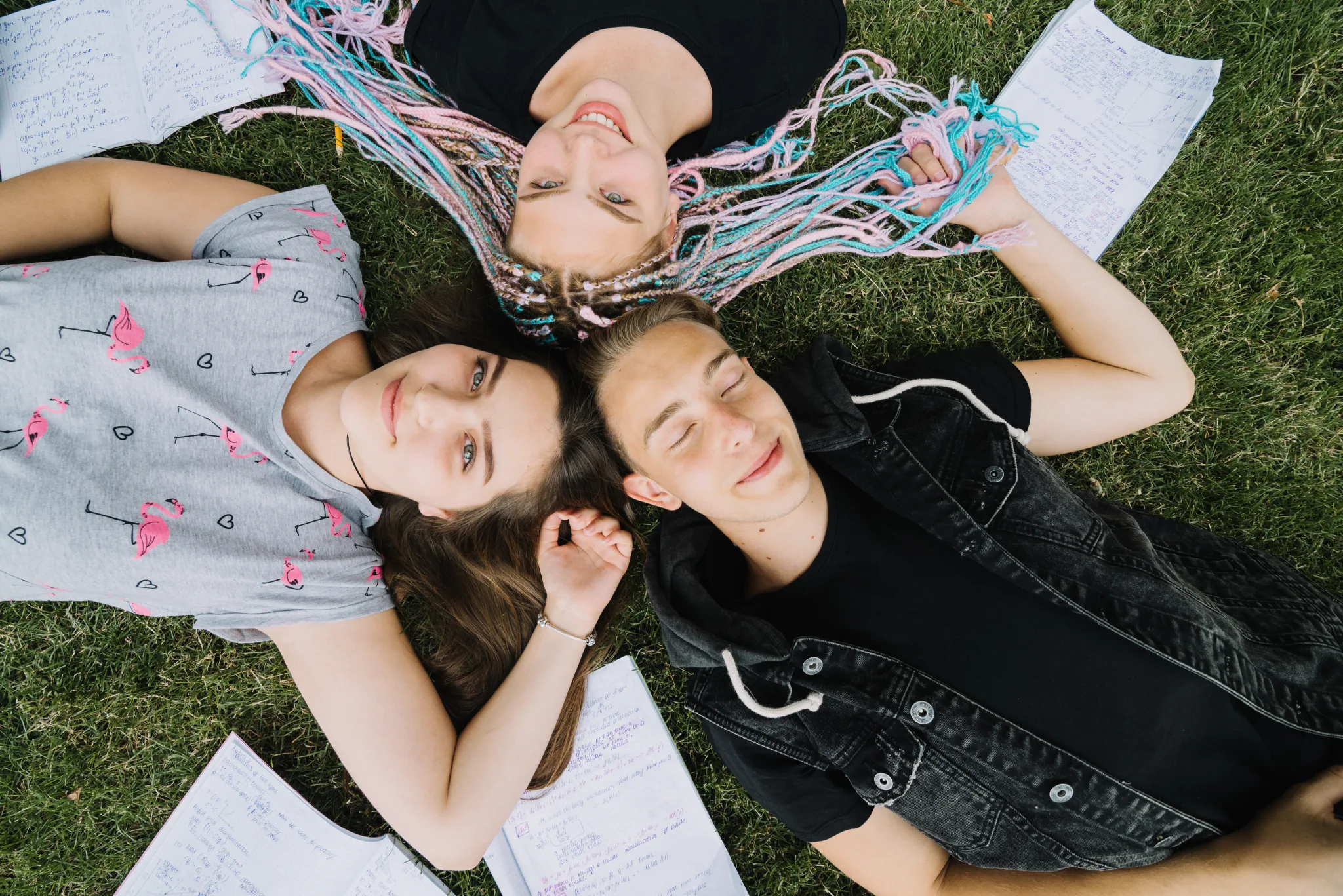 People Lying on Grass