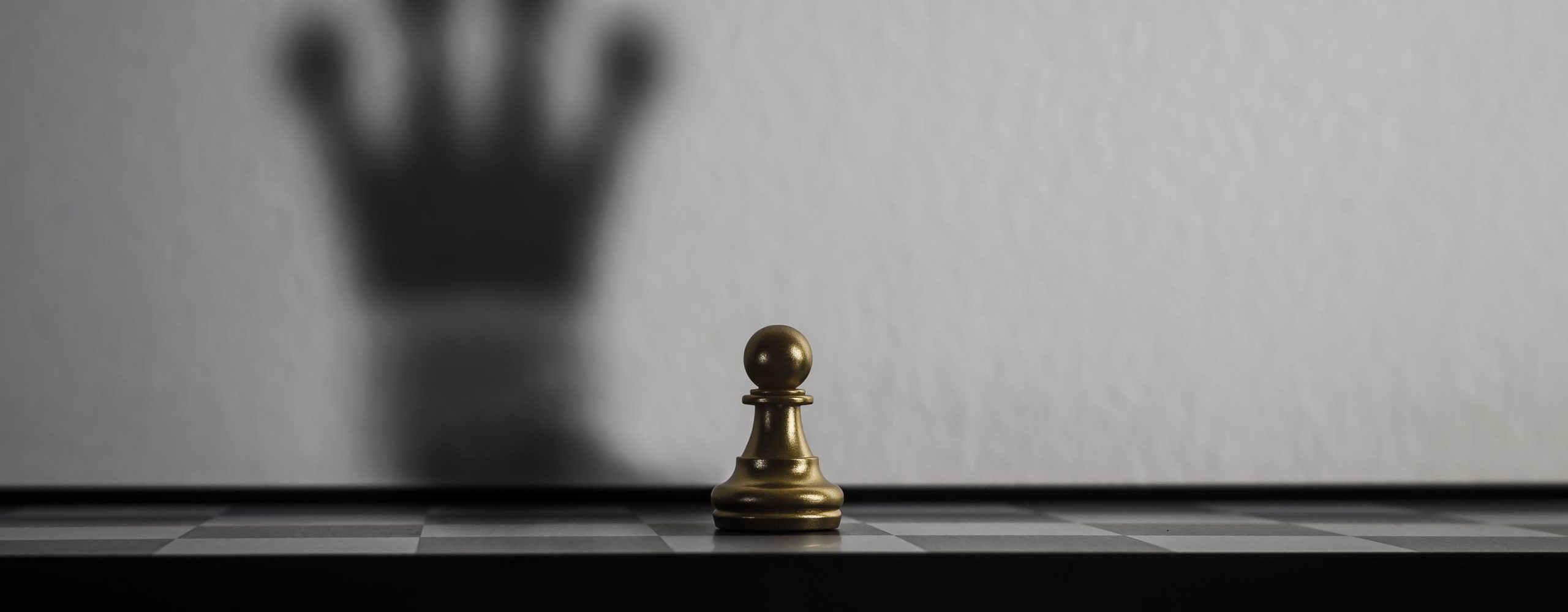 Chess Piece Casting a Shadow